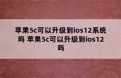 苹果5c可以升级到ios12系统吗 苹果5c可以升级到ios12吗